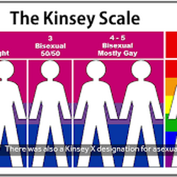 Kinsey Sex Test